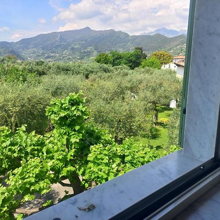 La Madonnina Panzió Querceta Kültér fotó