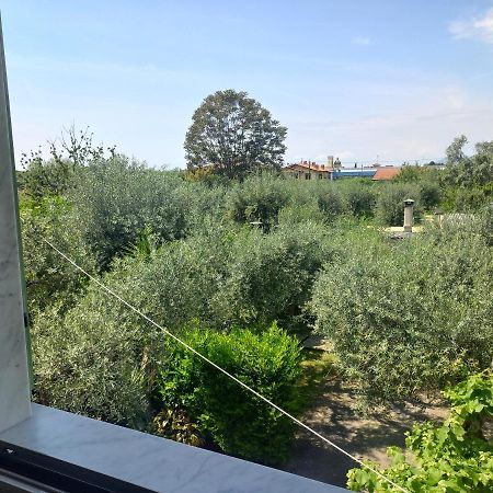 La Madonnina Panzió Querceta Kültér fotó