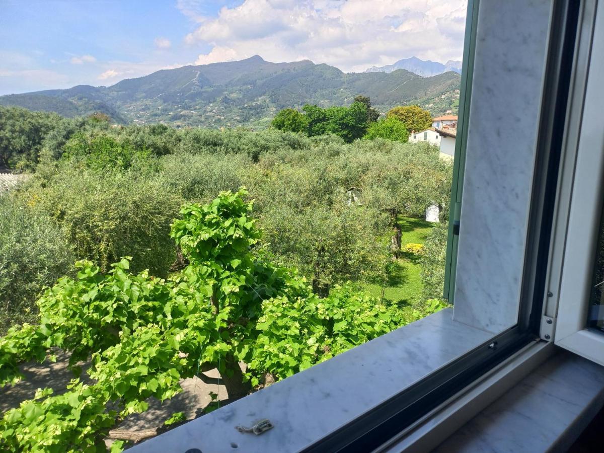 La Madonnina Panzió Querceta Kültér fotó