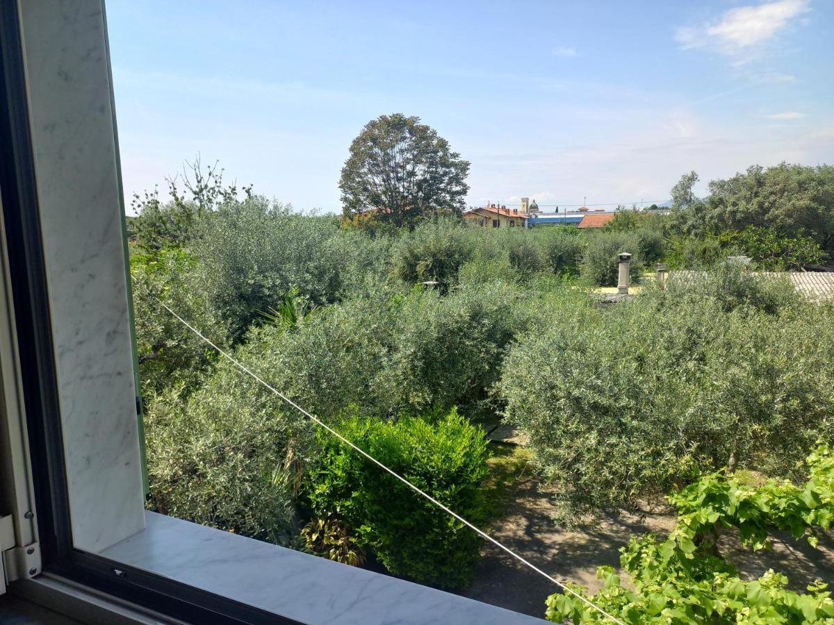 La Madonnina Panzió Querceta Kültér fotó